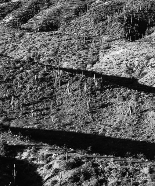 索诺兰沙漠景观图片下载