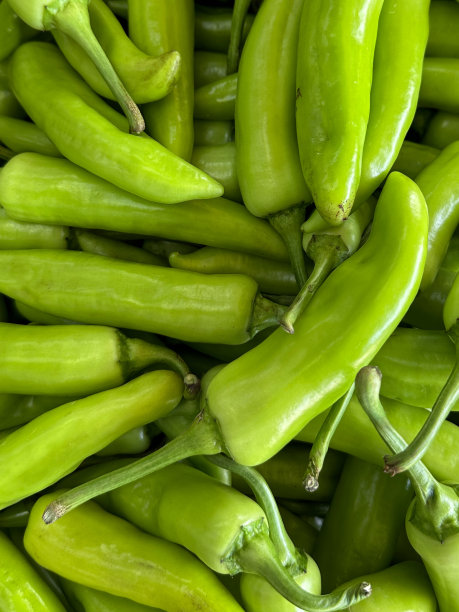 全屏图片，一堆温和的，绿色的辣椒正在当地的新鲜农产品市场出售，高视图图片下载