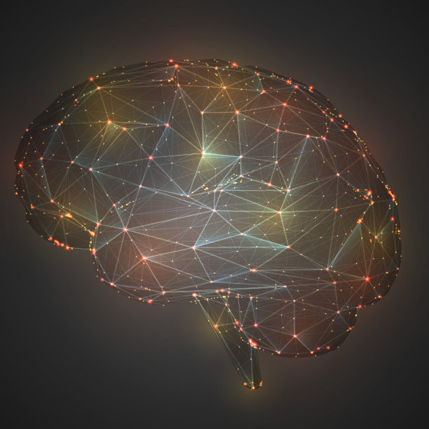 三维矢量网络大脑。神经网络超大数据处理，后台模板接口设计。图片下载