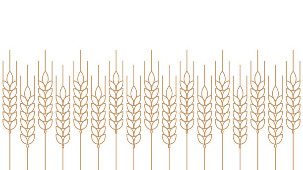 小麦图案壁纸。燕麦的象征。文本的空闲空间。大米的迹象。米色壁纸。图片下载