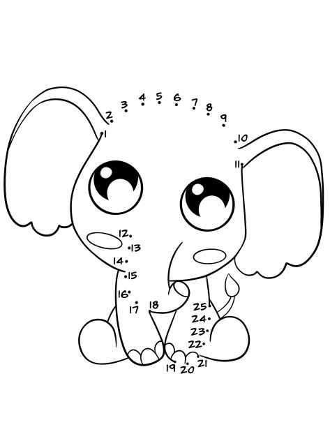 儿童动物活动手册图片下载