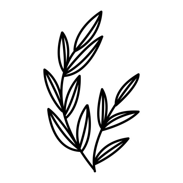 矢量画的春天的花图片下载