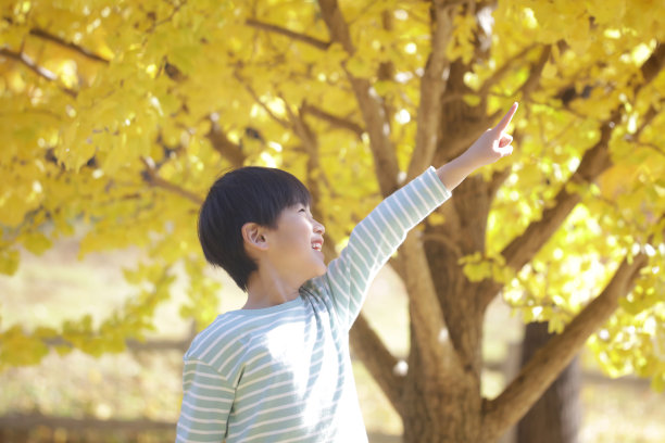 微笑的男孩图片下载