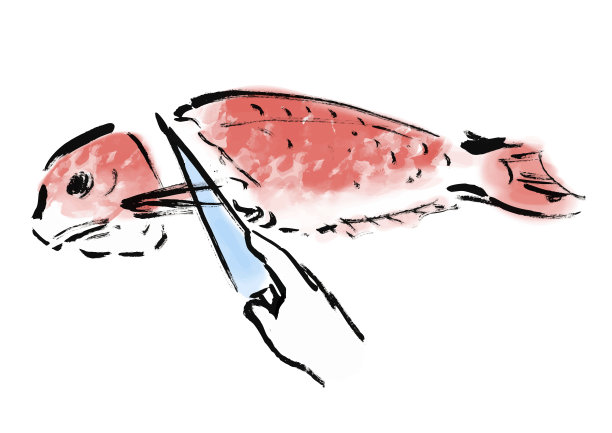 手绘日式切鲷鱼插画图片下载