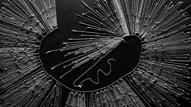 在秘鲁印加市的一家博物馆里，顶部视图的印加结的图案的灰度镜头图片下载