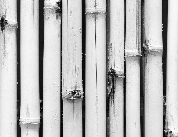 纹理白竹木墙图案背景图片下载