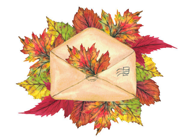 信封上的黄色和红色的秋叶在白色的背景。水彩插图。剪贴艺术植物学叶子。图片下载