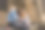 特写镜头是两个年轻的白人女性坐在教堂旁边，享受一天图片下载