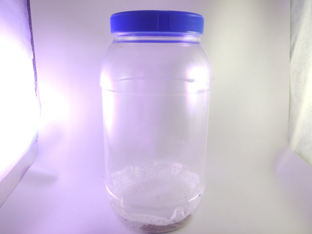 一公斤的大塑料瓶图片下载