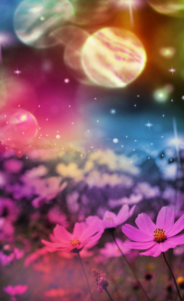 魔法花园。明亮的多色仙女天空。五彩缤纷的宇宙花。迷离，雾蒙蒙，神奇的仙气图片下载