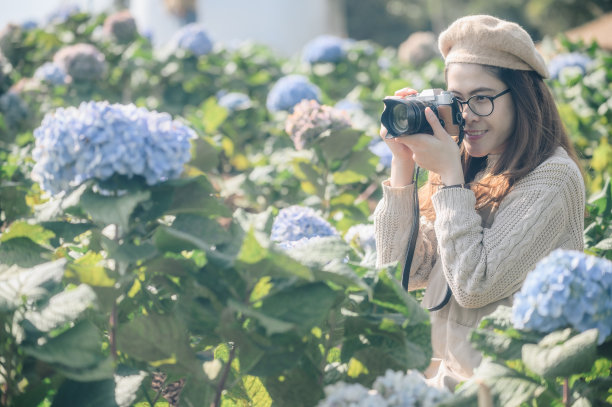 一名亚洲女游客在泰国清莱省的乡村拍摄绣球花。图片下载