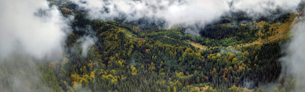 喀尔巴阡山脉秋季松林的鸟瞰图。无人机摄影图片下载