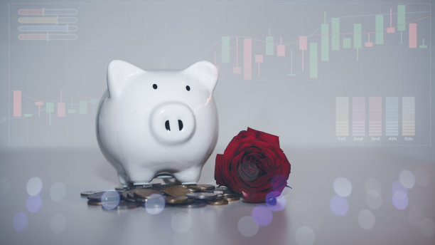 情人节惊喜，爱情，商业，交易，金融，储蓄和投资，储蓄罐和红玫瑰在情人节储蓄和爱的概念。为你的未来做金钱计划。图片下载