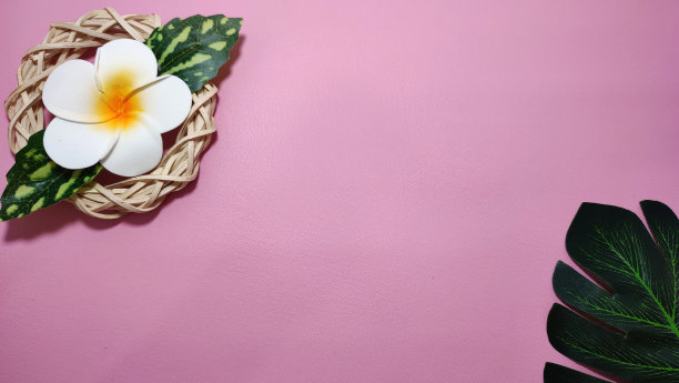 粉红色的背景图片下载