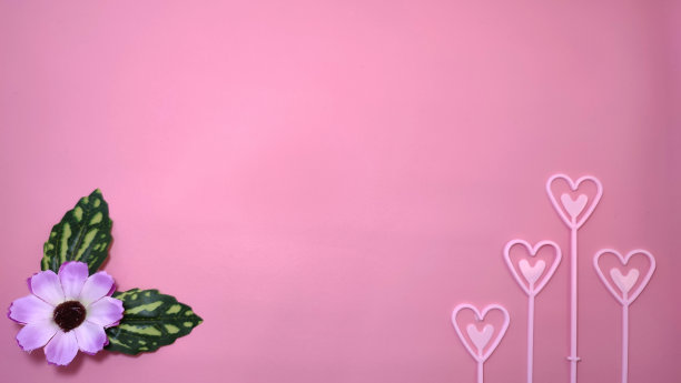粉红色背景与紫色花朵和心形图片下载