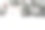 圣诞树下的圣诞兔子。白色可爱的兔子。2023年新年快乐。印有宠物的明信片。假日兔子图片下载