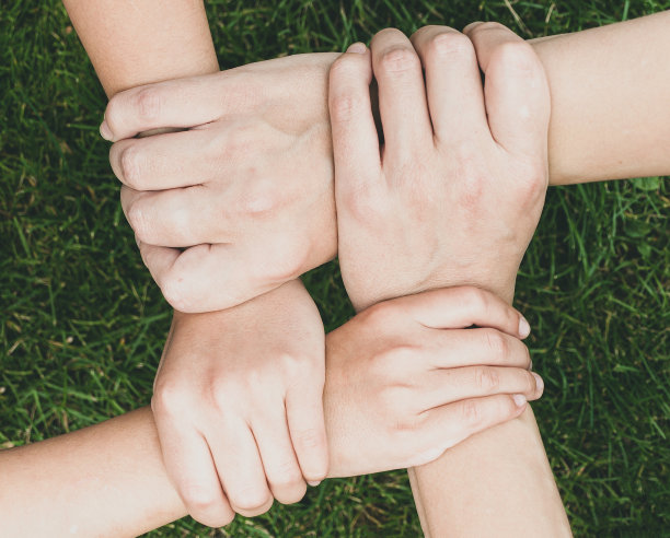 家人的手在草地上交叉图片下载