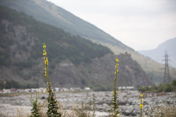 山河映衬着美丽的山峦和天空。图片下载