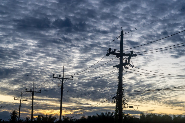 剪影照片的电投票与线或电线和许多小鸟在顶部拍摄的清晨或傍晚在泰国内陆与阴天图片下载