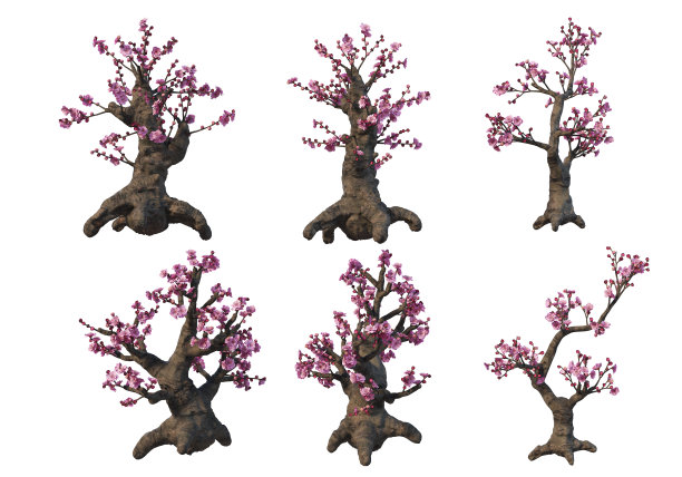 三维渲染盆景在白色背景图片下载