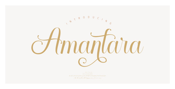 奢华婚礼字母字体。排版优雅的经典字母衬线字体和数字装饰复古与尾巴概念。矢量图图片下载