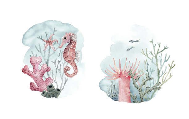 一套水彩背景与珊瑚和海洋生物，明信片和设计。图片下载
