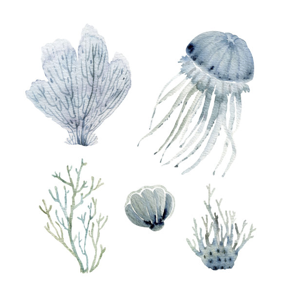 集蓝色的海洋珊瑚和海洋生物在白色的背景，水彩插图。图片下载