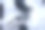 冬天雪地上的一群鸽子。图片 冬天雪地上的一群鸽子。图片下载