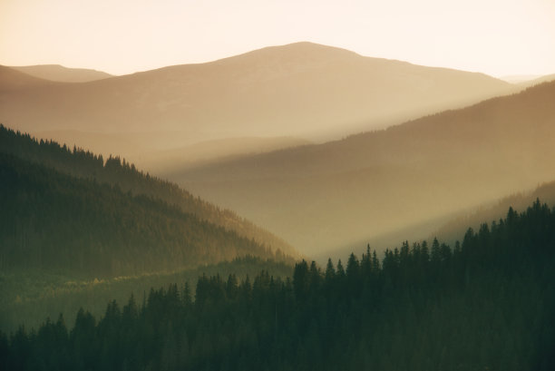 日出时山上的美景。一个风景优美的森林山丘。黄金时段的晨光。利用温暖的自然光。图片下载