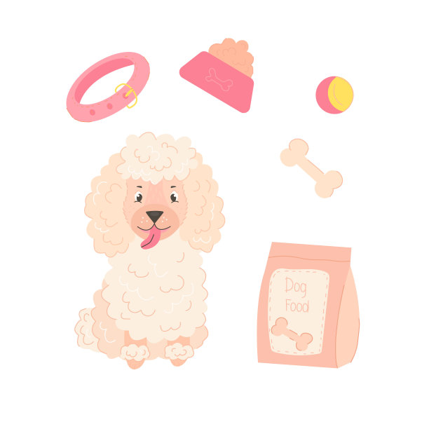 白色贵宾犬坐在和玩具和狗粮孤立的背景图片下载