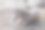 斑马的肖像-希波底格里斯。背景很明亮图片下载