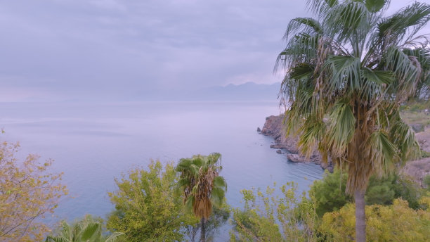 沿着海岸线飞过棕榈树。平静的大海。假期。大自然。海岸上的旅馆。无人机航拍图图片下载