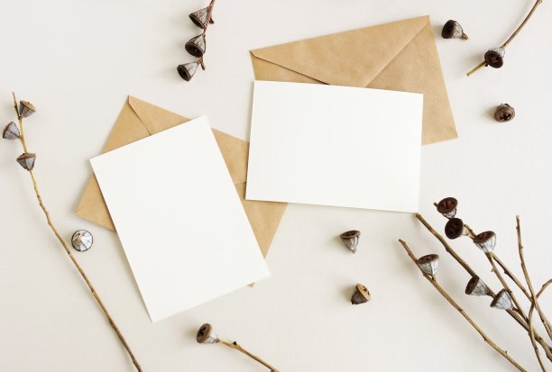 贺卡模型，信封和干花树枝在米色背景顶部视图flatlay。卡片模型与复制空间。图片下载