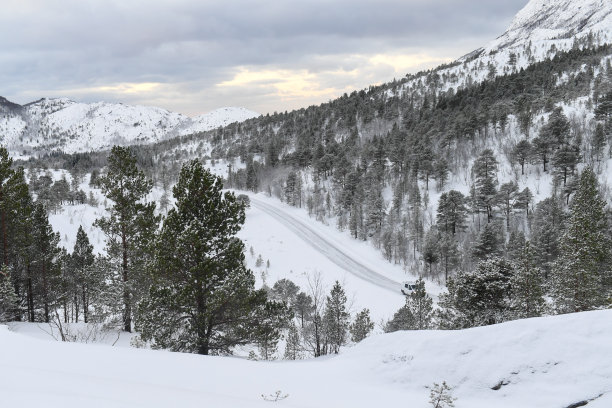 冬天的挪威北极图片下载