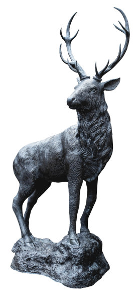 美丽而传统的英国鹿鹿青铜，或合金雕像或雕塑在白色背景下切割图片下载