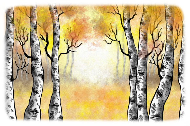 秋天白桦林的水彩画插图图片下载