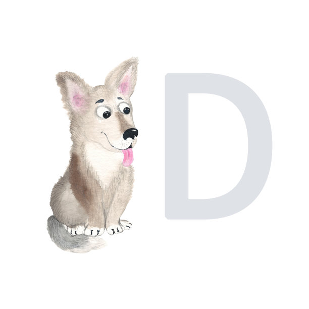 字母D，大写，小狗狗，可爱的孩子彩色动物ABC字母。水彩手绘插图孤立的白色背景。可以用来做字母或卡片，让孩子学习英语词汇和书写图片下载