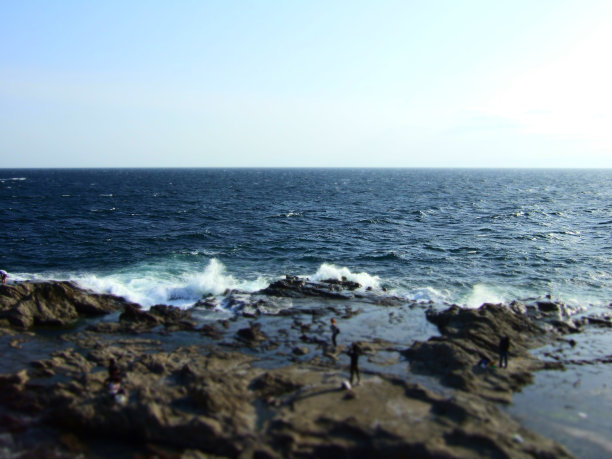 海滨。图片下载