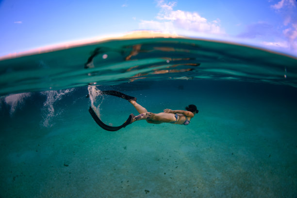 日出时在加勒比海自由潜水的女人图片下载