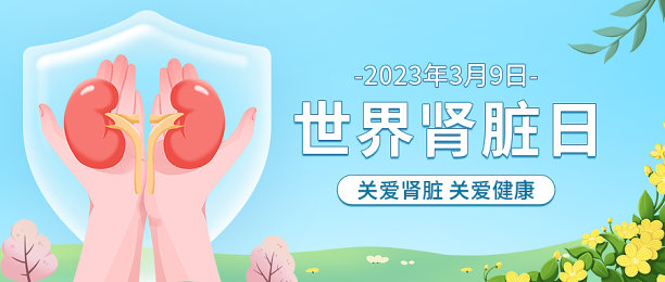 蓝色简约插画世界肾脏日公众号首图图片下载