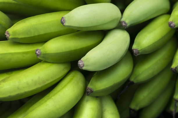 市场摊位上的绿色香蕉，一串香蕉的特写图片下载
