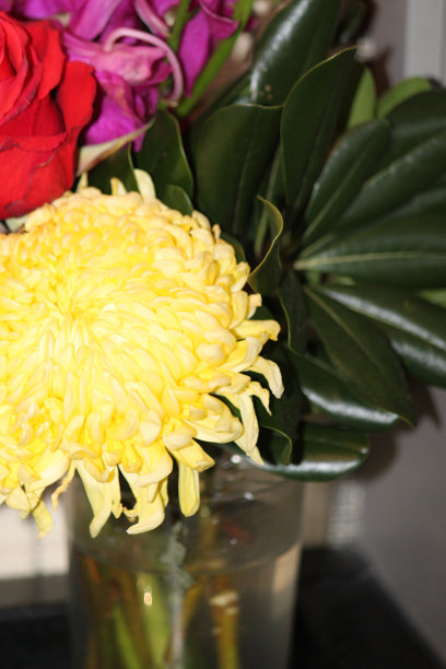 花瓶里的花图片下载