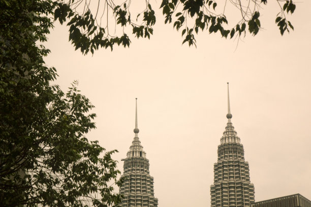 吉隆坡市的树木和双子塔图片下载