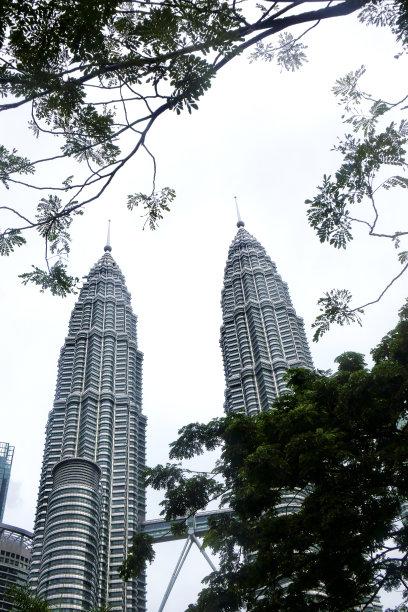 吉隆坡市的树木和双子塔图片下载