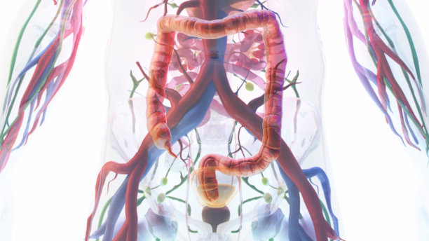 人大肠图片下载