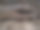 干燥的树叶和腐烂的木头图片下载