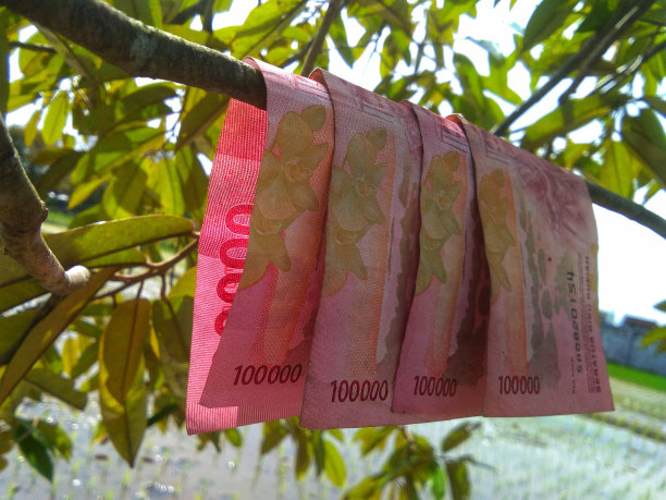 纸币法定货币，适用于一切业务图片下载