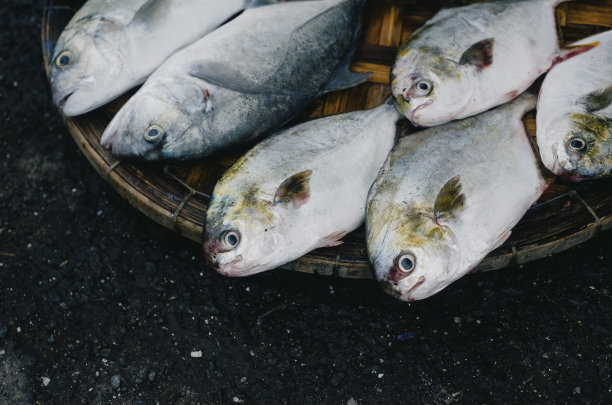 越南芽庄当地市场出售的鱼类图片下载