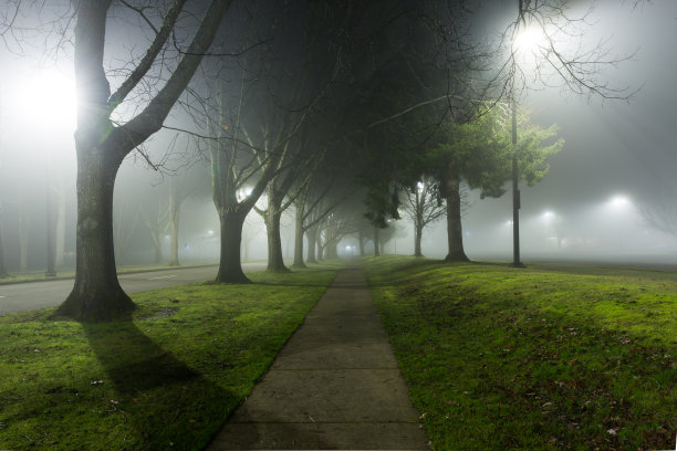 雾夜的巷子里图片下载