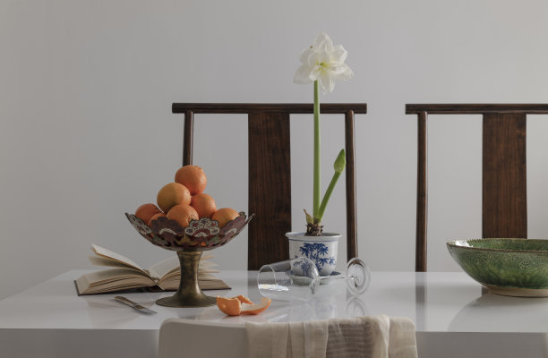 一碗橘子，书，室内植物，饭厅桌上的酒杯图片下载